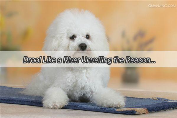 Drool Like a River Unveiling the Reasons Behind Your Pups Slobbering Sensation